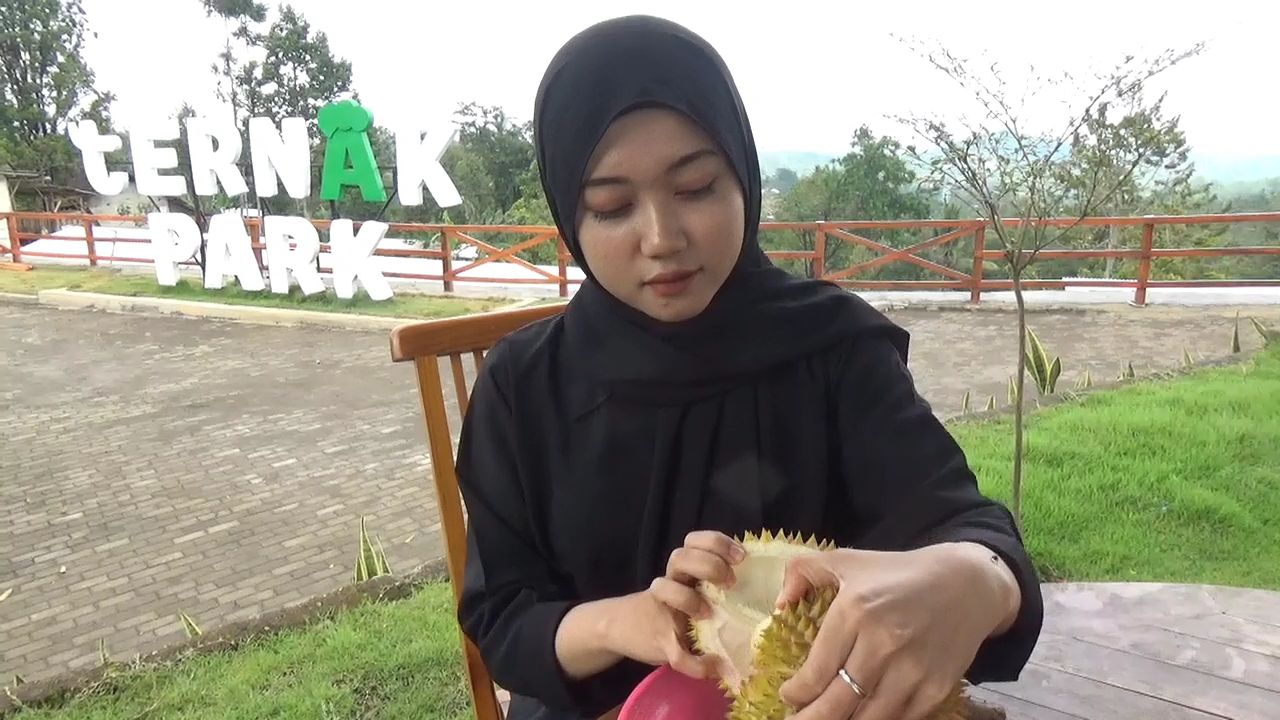 Wisata Duran Duren Wonosalam jadi Favorit saat Libur Nataru, Pengunjung Melonjak Tiga Kali Lipat