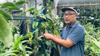 Fb-Suwito (7) Dua Bulan Terakhir BPBD Ponorogo Catat Ada 60 Peristiwa Tanah Longsor, Ini yang Paling Parah