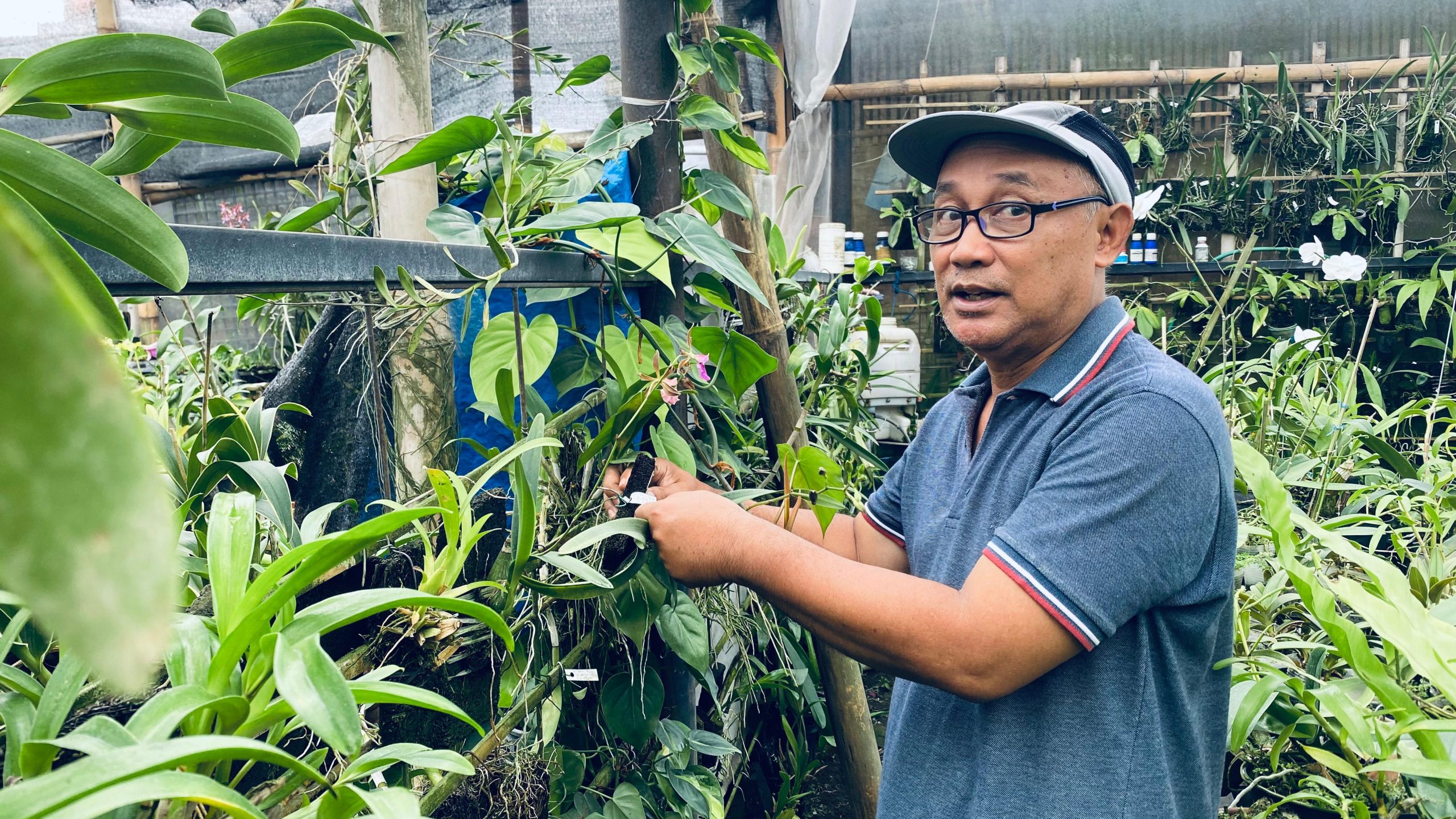 Dua Bulan Terakhir BPBD Ponorogo Catat Ada 60 Peristiwa Tanah Longsor, Ini yang Paling Parah