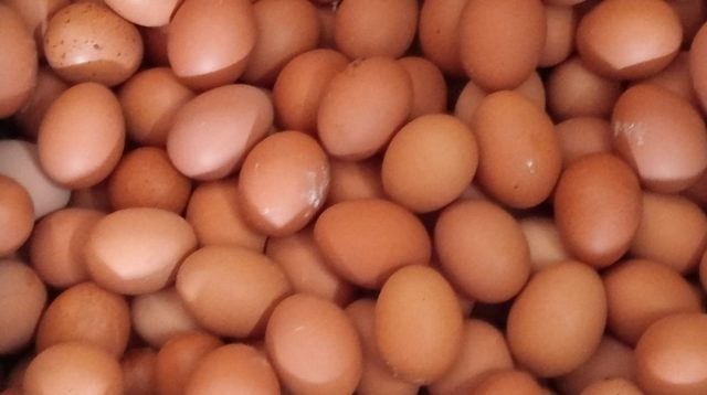 Harga Telur Ayam Terjun Bebas Usai Nataru, di Kabupaten Kediri Eceran Tinggal Rp 25.000 Perkilogram