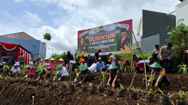 Sukseskan Asta Cita, Polres Batu Gelar Penanaman Serentak Jagung di Lahan 1 Juta Hektare