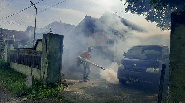 Hampir Dua Pekan di Awal Tahun 2025, Kasus DBD di Tulungagung Mencapai 44 Kasus, Simak Penjelasannya