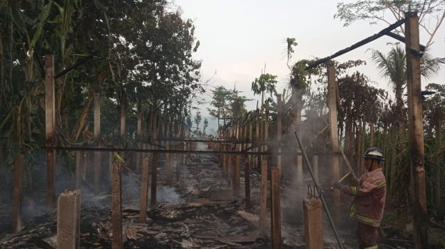 Kebakaran Kandang Peternakan Ayam di Tulungagung, Kerugian Mencapai Rp 100 Juta