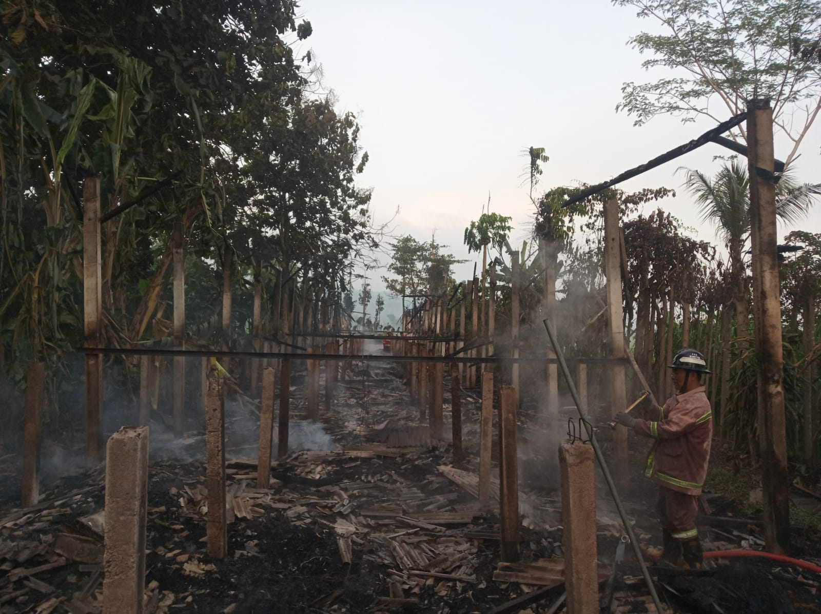 Kebakaran Kandang Peternakan Ayam di Tulungagung, Kerugian Mencapai Rp 100 Juta