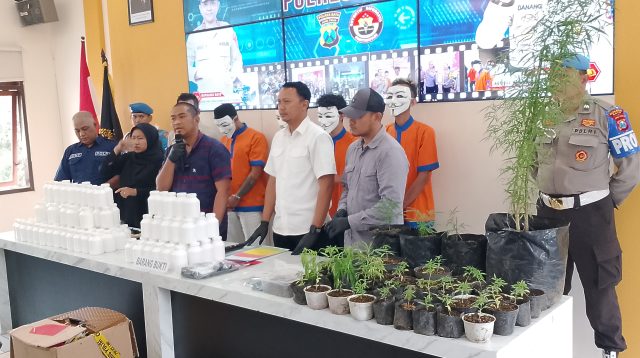 Polisi Gerebek Home Industri Tanaman Ganja, Ini Kata Kapolres Batu
