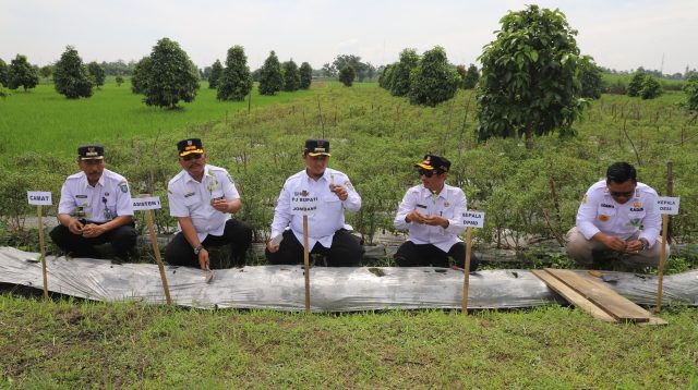 Perkuat Ketahanan Pangan di Momentum Hari Desa Nasional