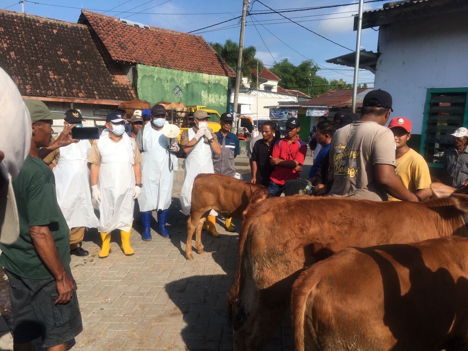 Penutupan Pasar Hewan Diperpanjang, Ini Penjelasan Dinas Peternakan Kabupaten Jombang