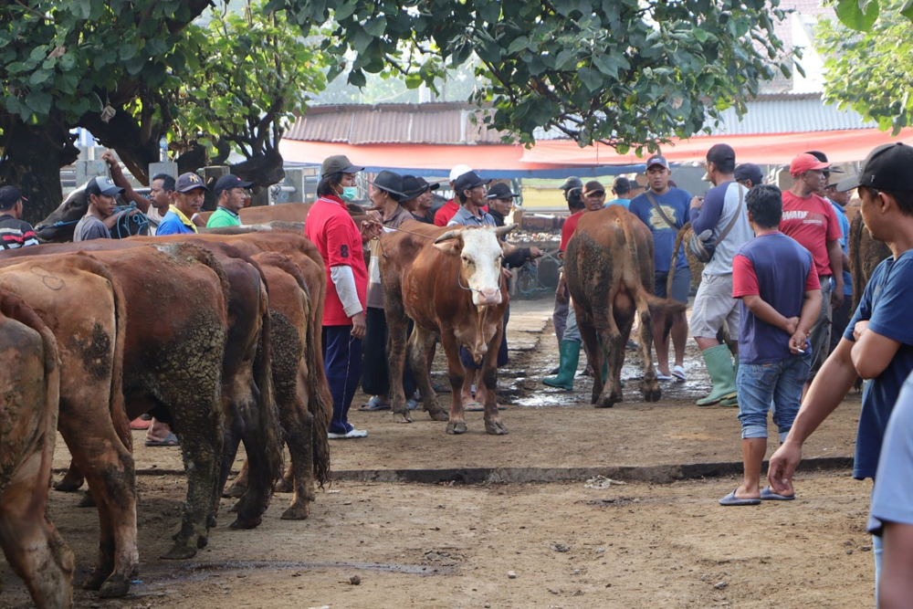 PMK meluas, Dewan Dorong Pemkab Ponorogo untuk Tutup Pasar Hewan Jetis
