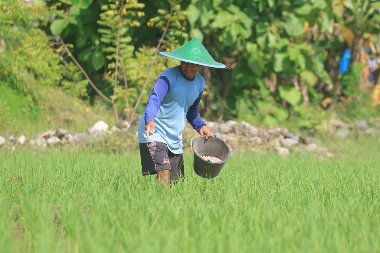 Alokasi Pupuk Subsidi di Ponorogo Naik, Bulan ini Bisa Mulai Diserap Petani
