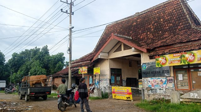 Hari Pasaran, Pasar Hewan Jetis Ponorogo Sejumlah Pedagang Sapi Kecele