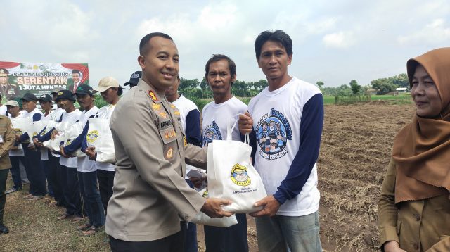 Tanam Jagung Serentak Dukung Swasembada Pangan