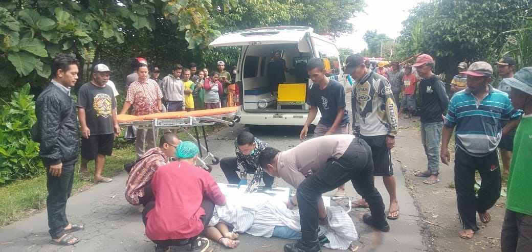 Tertimpa, Pohon Senggon, Kediri, Jombang, Tewas