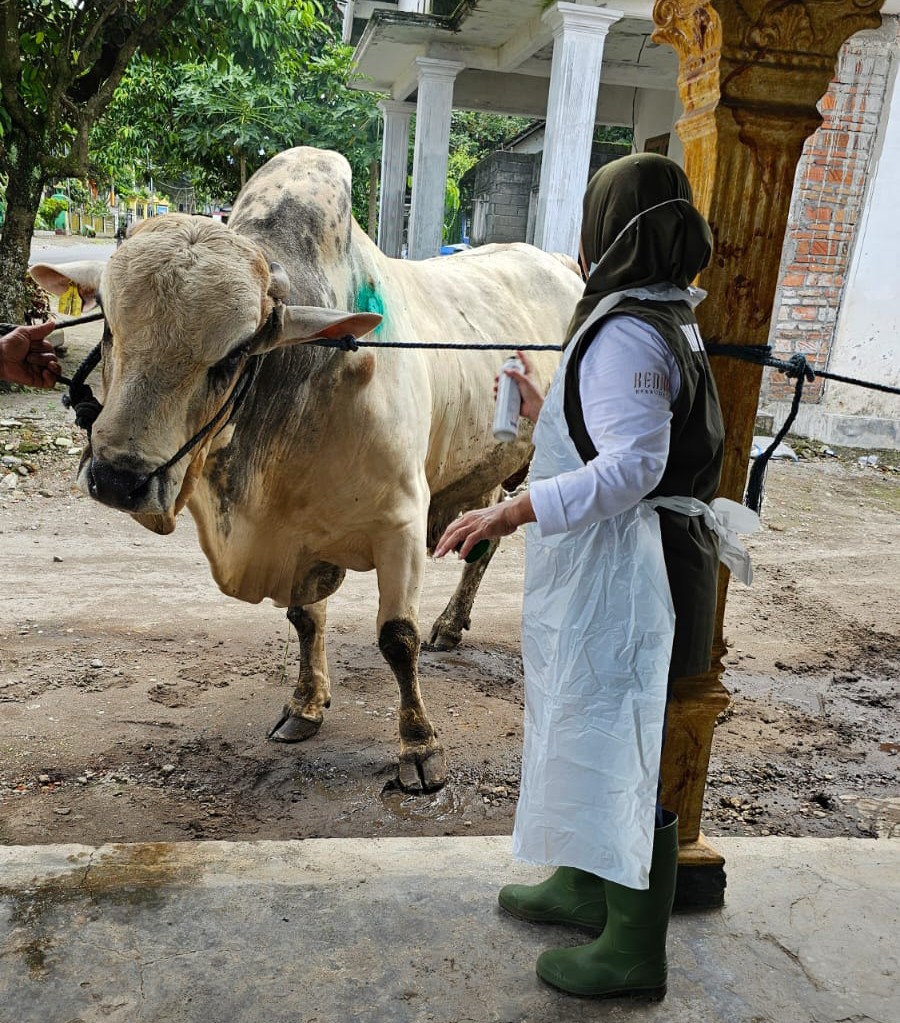 Kementan Bantu 1828 Dosis Vaksin untuk Penyembuhan Sapi Terpapar PMK di Kediri