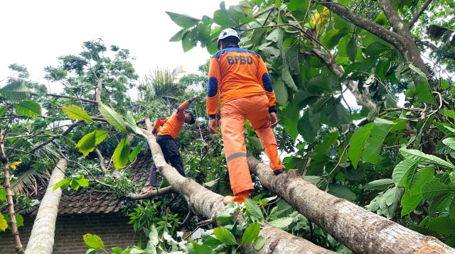 Hujan Disertai Angin Kencang di Blitar Serang 8 Desa, Rusak Bangunan, 2 Orang Terluka
