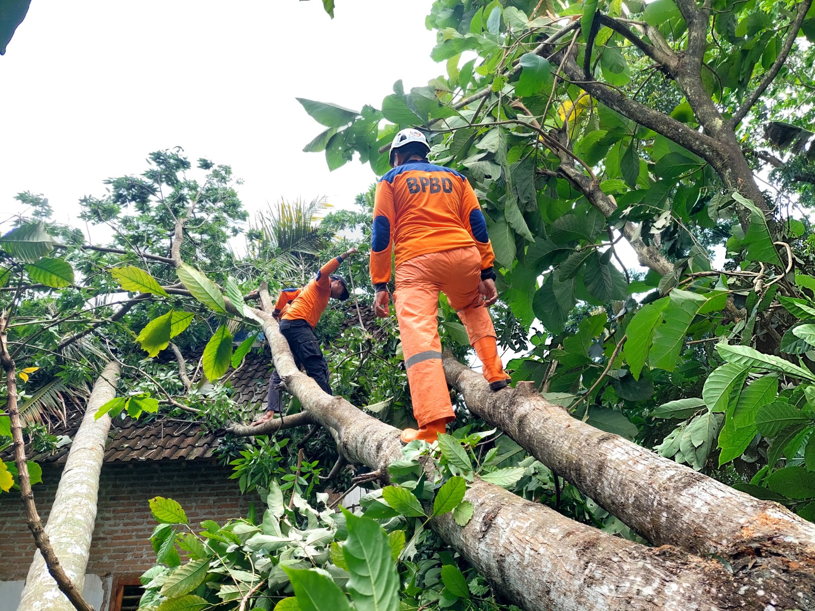 Hujan Disertai Angin Kencang di Blitar Serang 8 Desa, Rusak Bangunan, 2 Orang Terluka