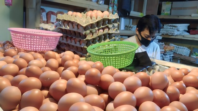 Harga Telur Tingkat Peternak Turun Rp 20 ribu Per Kg