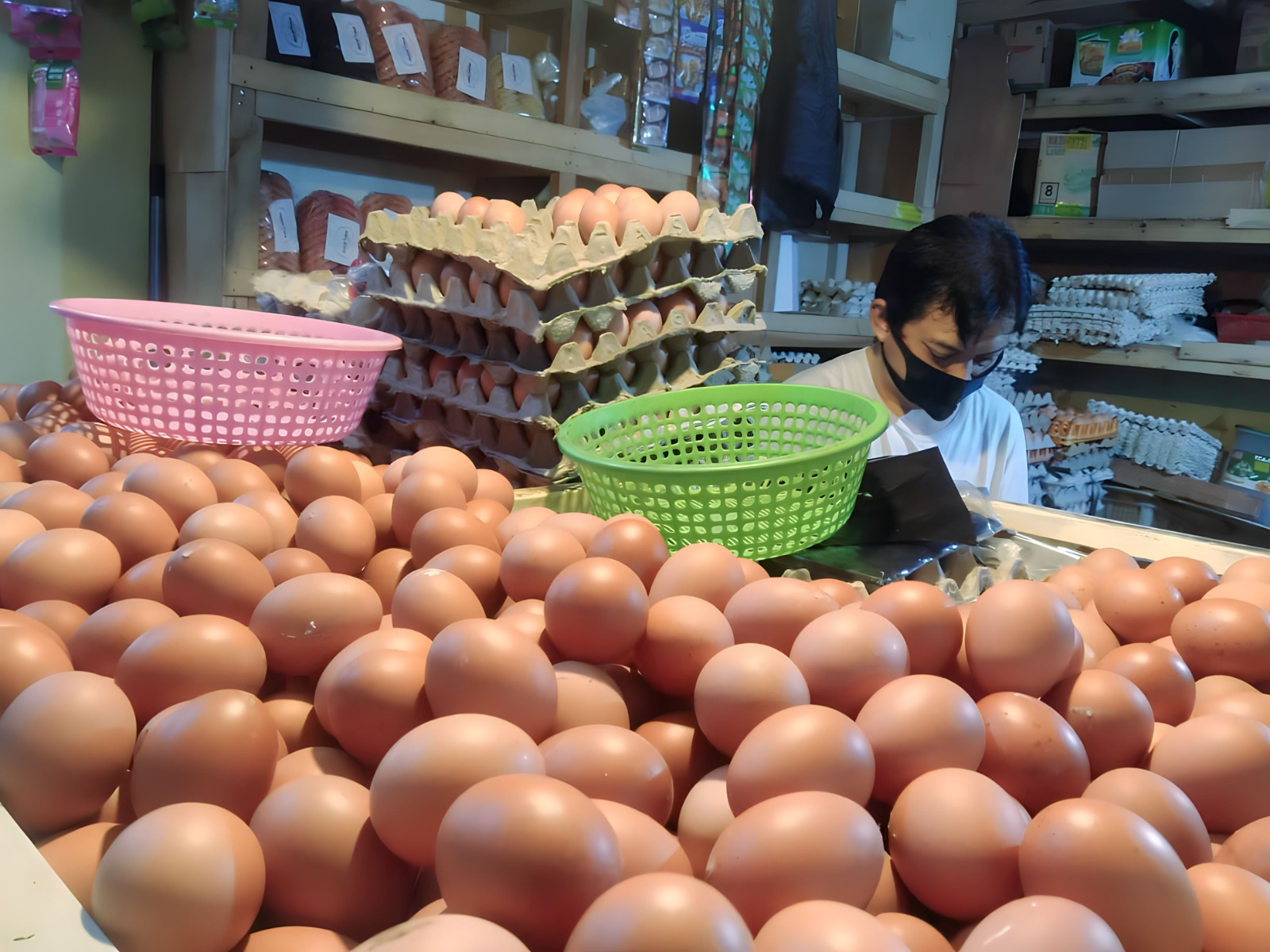 Harga Telur Tingkat Peternak Turun Rp 20 ribu Per Kg