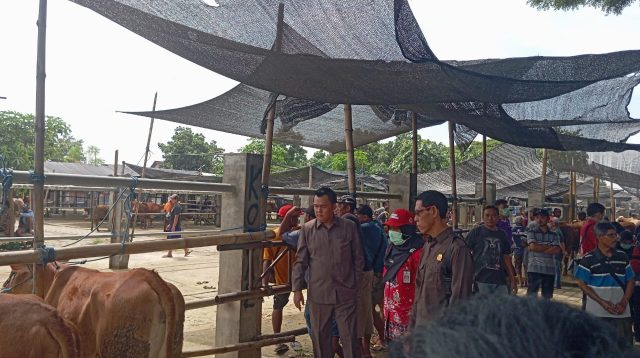 PMK Merebak, Pasar Hewan Dimoro Tetap Buka, Ini Penjelasan Disperindag Kota Blitar