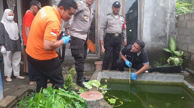 Orang Tua Tidur Siang, Balita Kembar di Pace Tewas Tercebur Kolam Ikan