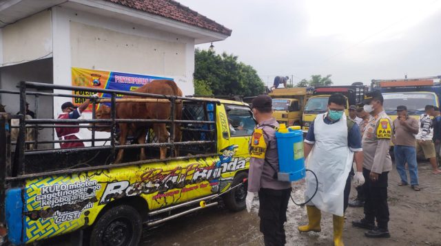 Polisi dengan Disperta Kunjungi Pasar Hewan Kecamatan Bagor, Antisipasi Penyebaran PMK