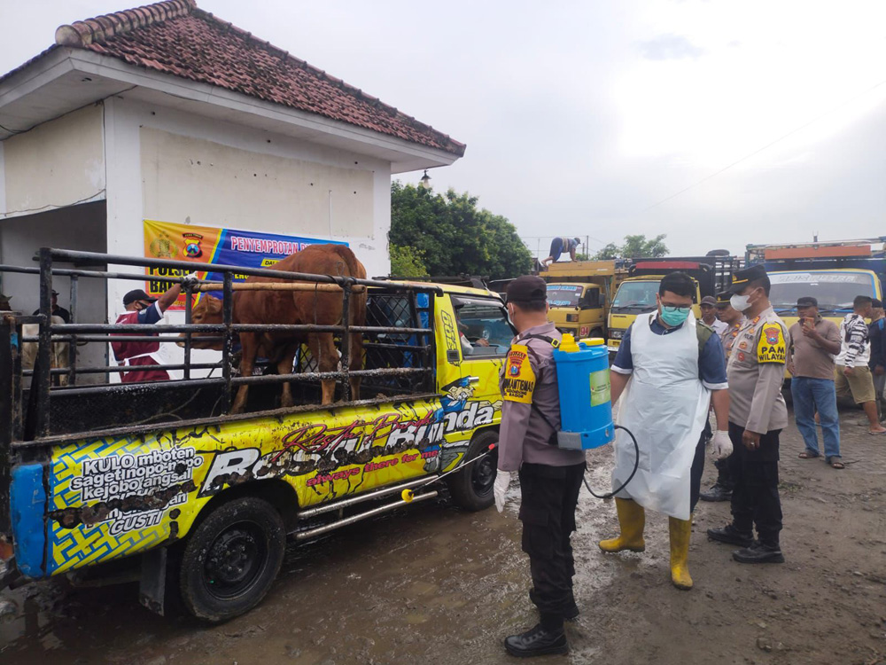 Polisi dengan Disperta Kunjungi Pasar Hewan Kecamatan Bagor, Antisipasi Penyebaran PMK