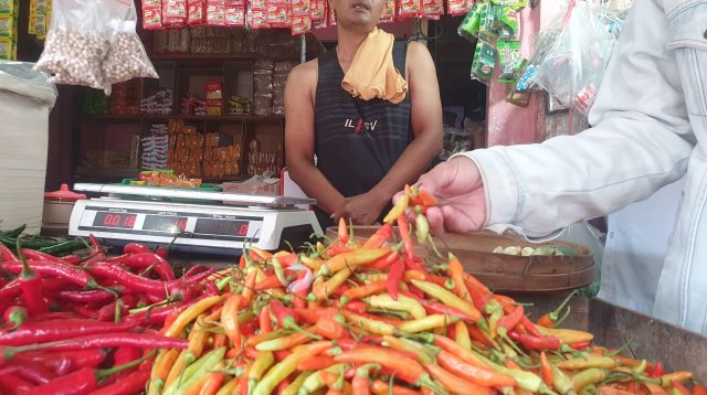 Harga Bapok Naik, Cabai Rawit di Tulungagung Tembus Rp 100 Ribu Perkilogram