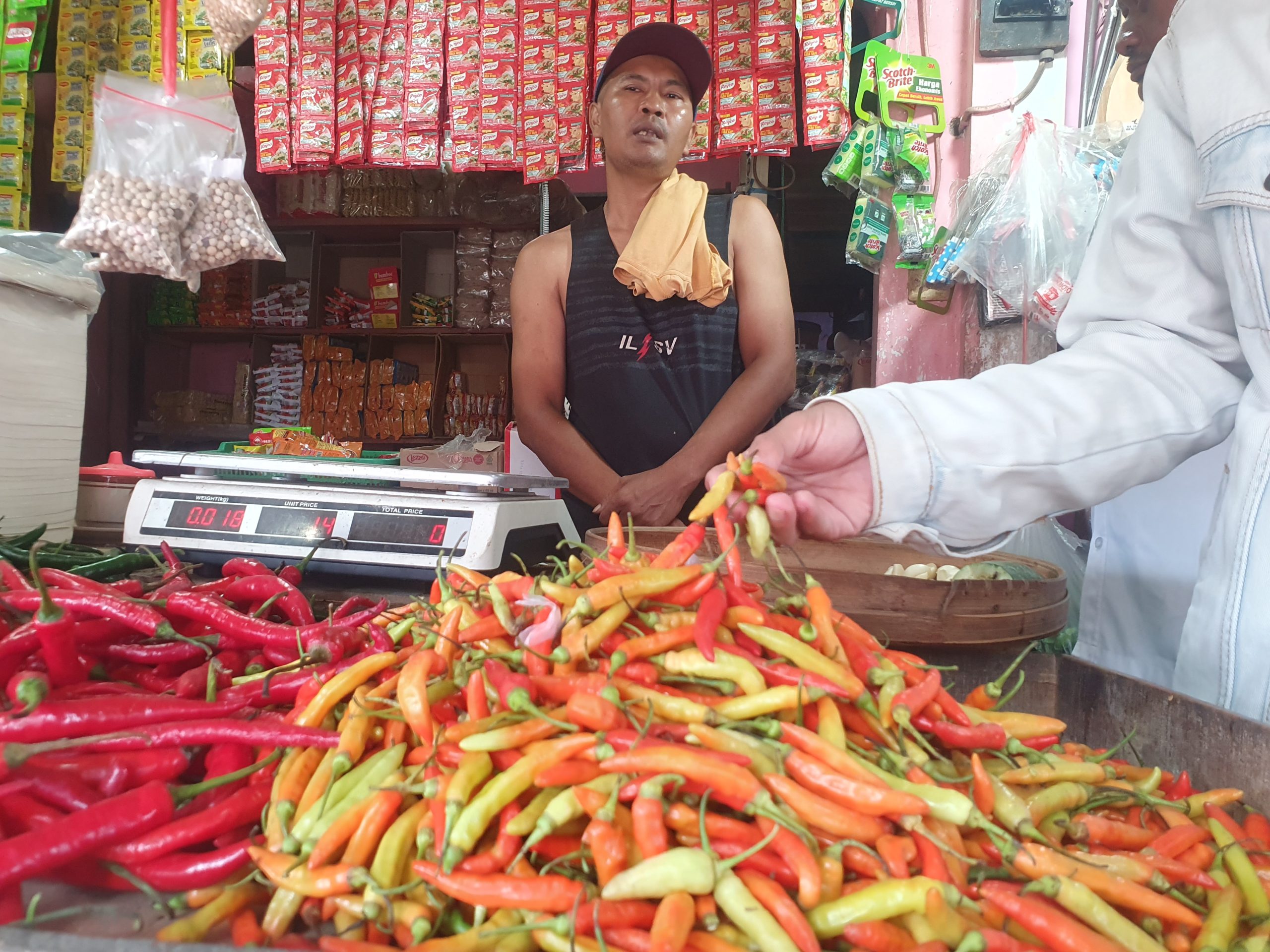 Harga Bapok Naik, Cabai Rawit di Tulungagung Tembus Rp 100 Ribu Perkilogram