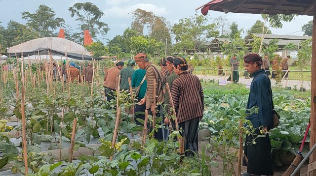 Pesantren Jati Diri Bangsa Kediri Berikan Pelatihan Ketahanan Pangan Gratis