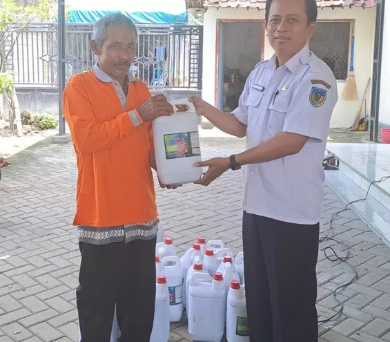 Dispertabun Kabupaten Kediri Rutin Bantu Pupuk untuk Petani Tembakau