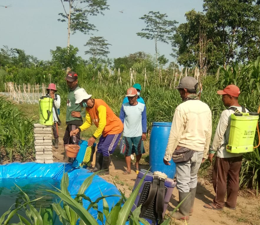 Hindari Hama, Petani Kediri Lakukan Gerdal