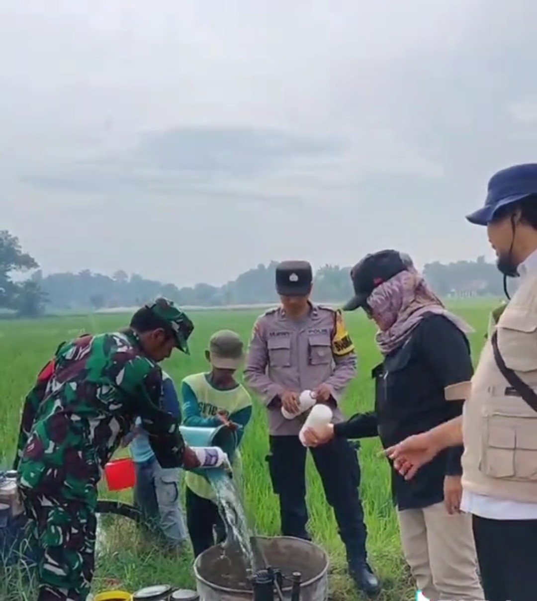 Sinergi TNI dan Polri, Bantu Petani Lakukan Penyemprotan Cegah Hama