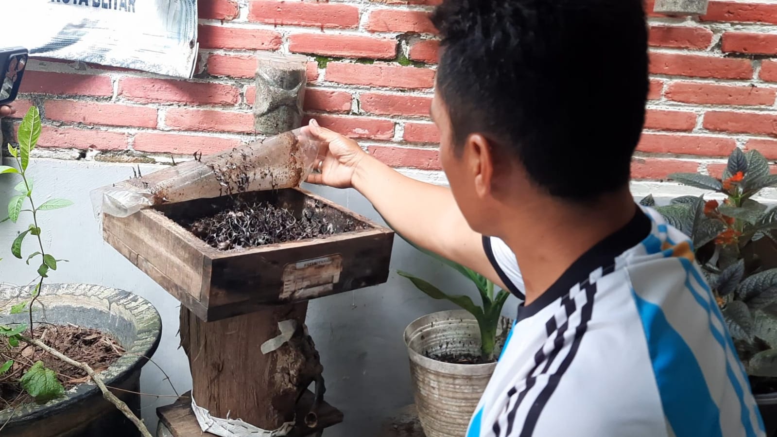 Upaya Pemuda Bongares Hidupkan Kembali Wisata Foto Selfie 3 Dimensi, Sediakan Sensasi Hisap Madu Klanceng dari Sarangnya Langsung