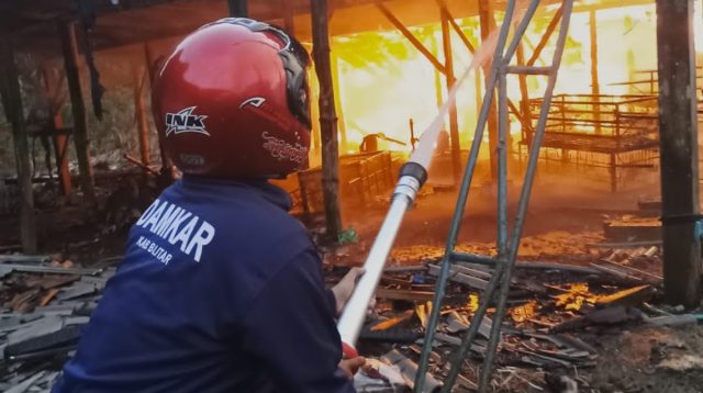  Kandang Kapasitas 120 Ribu Ayam di Desa Ngerjo Kabupaten Blitar Terbakar, Ini Penyebab dan Kerugiannya