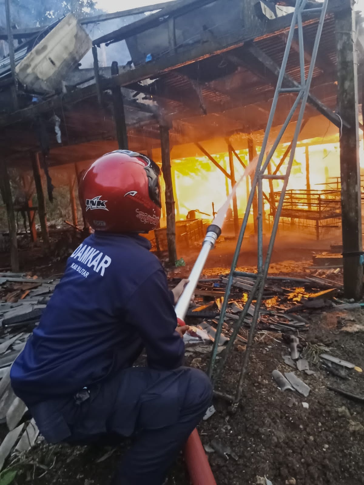 Kandang Kapasitas 120 Ribu Ayam di Desa Ngerjo Kabupaten Blitar Terbakar, Ini Penyebab dan Kerugiannya