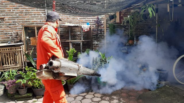 Lebih dari Seratus Kasus DBD Terjadi Awal Tahun