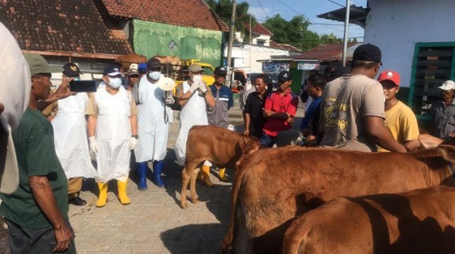 Pemkab Jombang Cabut Status Darurat PMK, Pasar Hewan Kembali Beroperasi