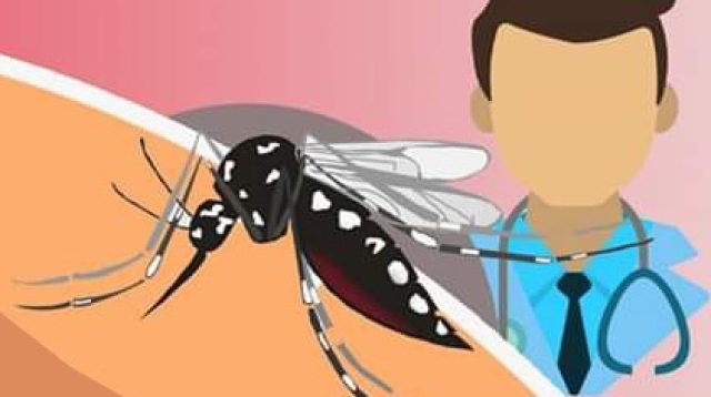 Dua Bulan Temukan Tiga Kasus Malaria, Hasil Telusur Pernah Tinggal di Daerah Endemik