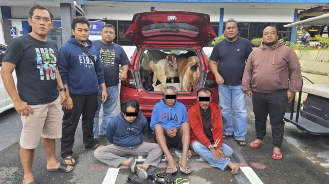 Pencuri Kambing Kota Blitar