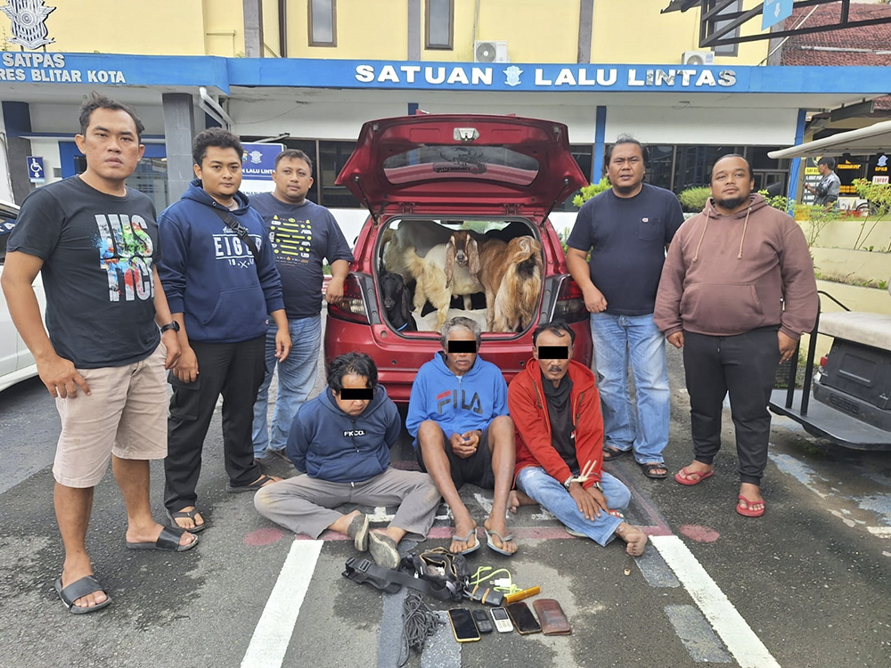 Pencuri Kambing Kota Blitar