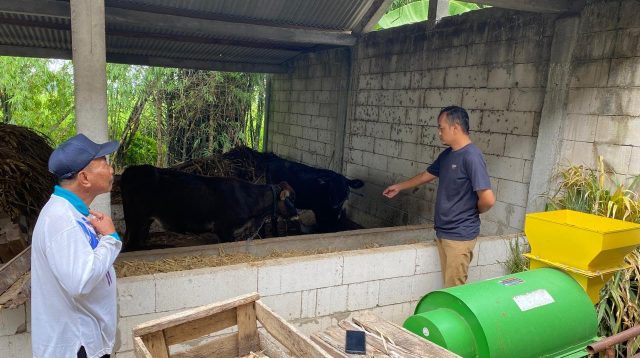 Program UPPO Pertaniadn Desa Pacewetan Nganjuk Disinyalir Gagal