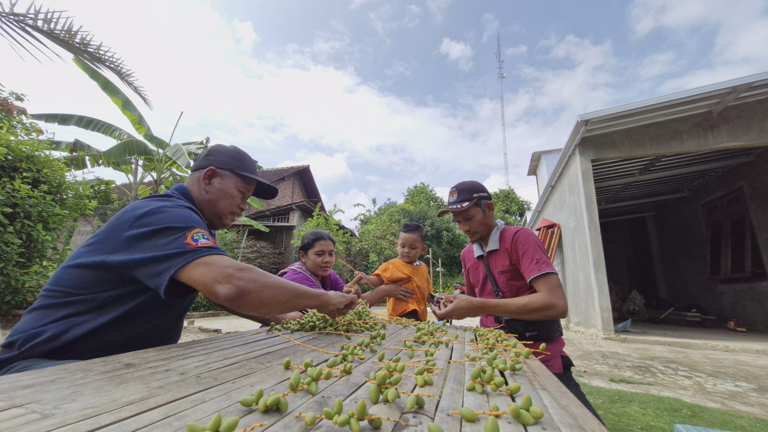 Rumah Pria di Ponorogo Diserbu Pejuang Garis Dua karena Punya Pohon Kurma