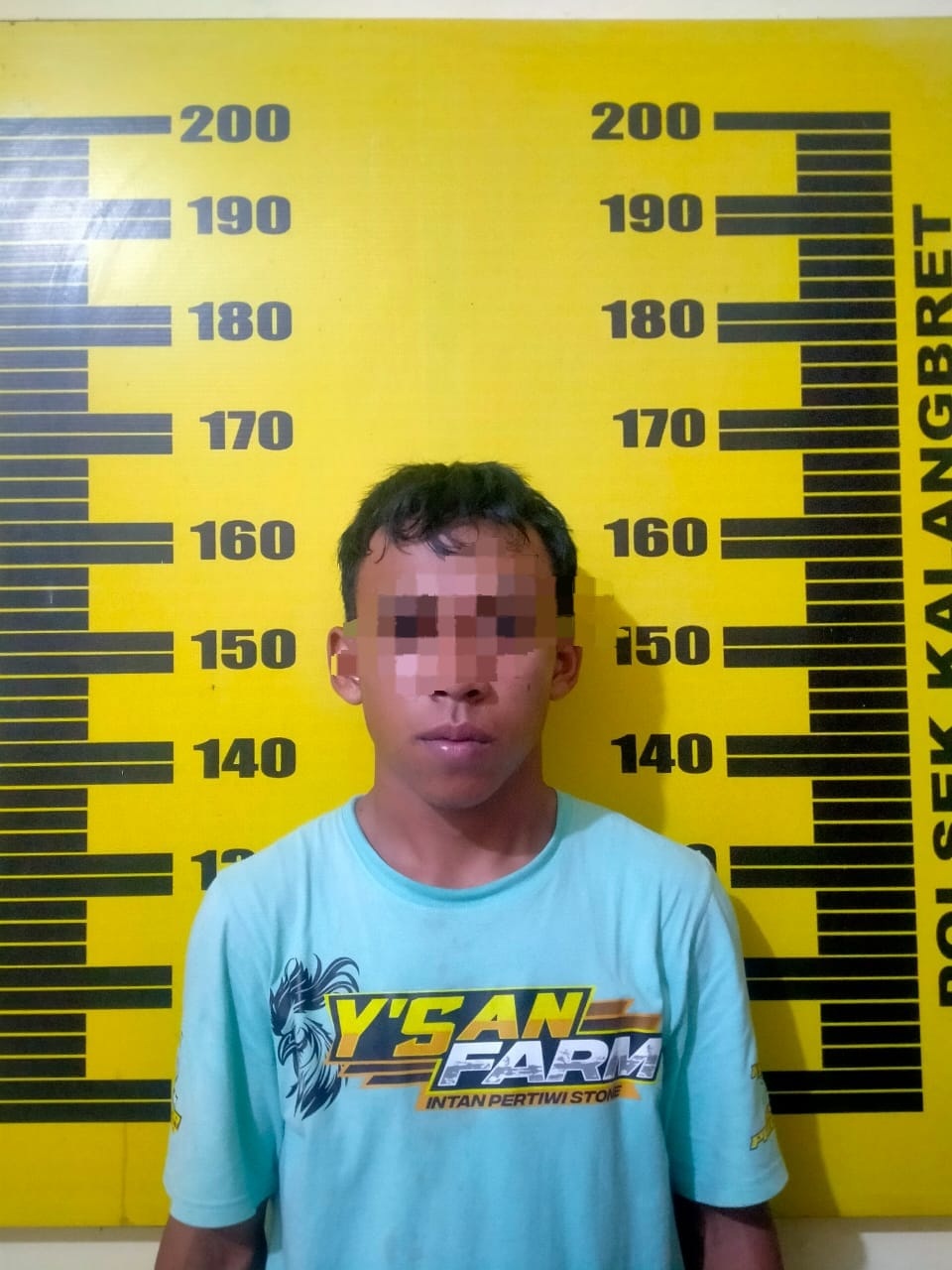 Penjual Bubuk Mesiu Bahan Baku Petasan Diringkus