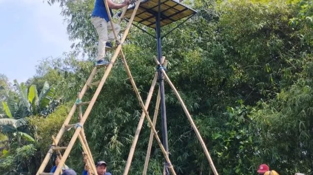 Tyto Alba Masih Efektif untuk Basmi Tikus di Kabupaten Kediri