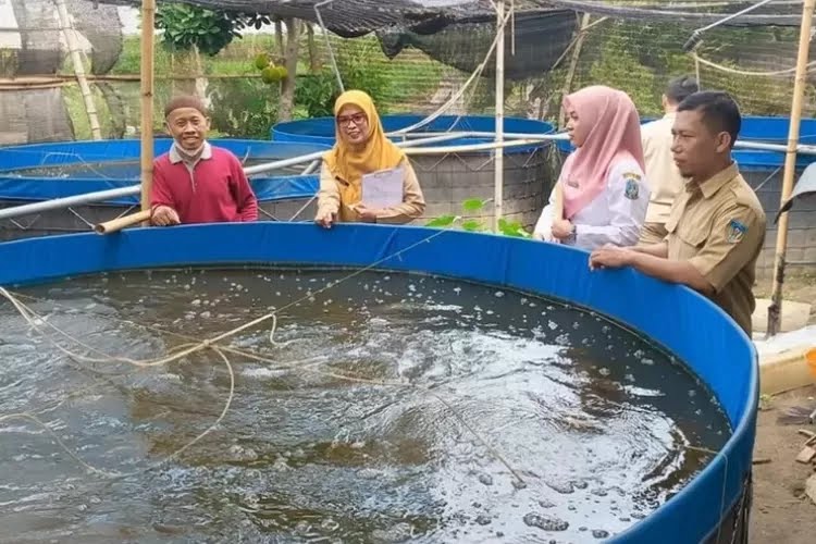 Pembudidaya Ikan Diimbau Waspadai Musim Pancaroba