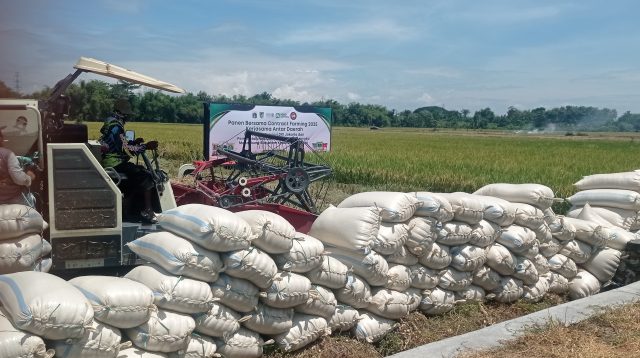 DPRD Kabupaten Kediri Apresiasi Capaian Produksi Padi