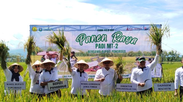 Panen Raya di Ponorogo, Emil Dardak Puji Produktivitas Padi Capai 7,5 Ton per Hektare