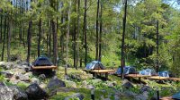 Intip 4 Pilihan Glamping di Jolotundo Nganjuk Harga Terbaru Berlaku Mulai Maret 2025