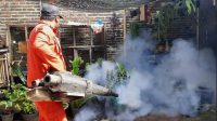 Kasus DBD Turun Drastis di 2025, Dinkes Kota Batu Imabu Warga Tetap Lakukan PSN Rutin
