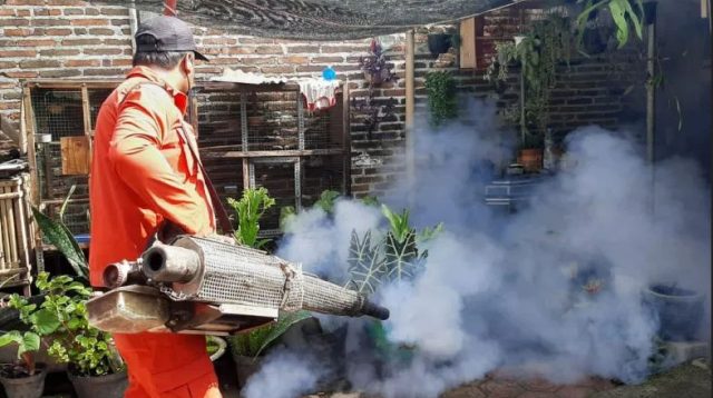 Kasus DBD Turun Drastis di 2025, Dinkes Kota Batu Imabu Warga Tetap Lakukan PSN Rutin