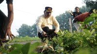 f-Kang Marhaen 3 Hari Jadi ke-1088 Kabupaten Nganjuk, Warga Turun Tangan Bersihkan Lingkungan
